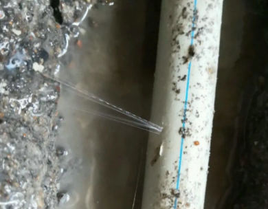 枞阳测漏水哪家好