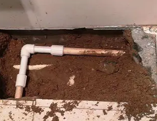 枞阳测漏水哪家好