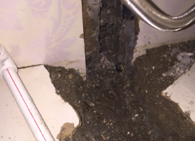 枞阳卫生间测漏水哪家好