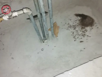 枞阳卫生间测漏水价格明细