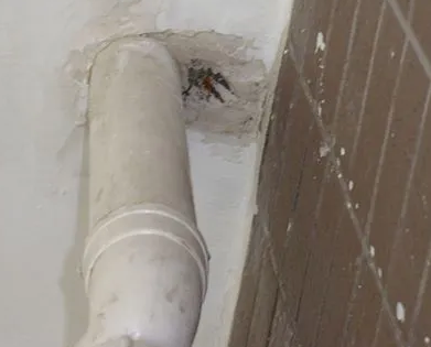 枞阳漏水检测哪家好